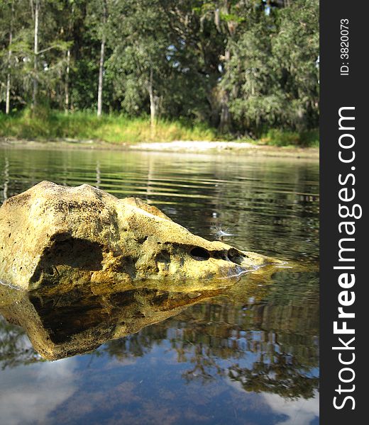 A bolder resting in an old Florida river at fish eating Creek. A bolder resting in an old Florida river at fish eating Creek.