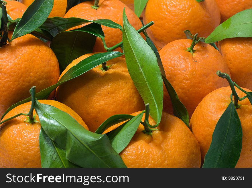 Colorful orange tangerines with fresh green leaves. Colorful orange tangerines with fresh green leaves