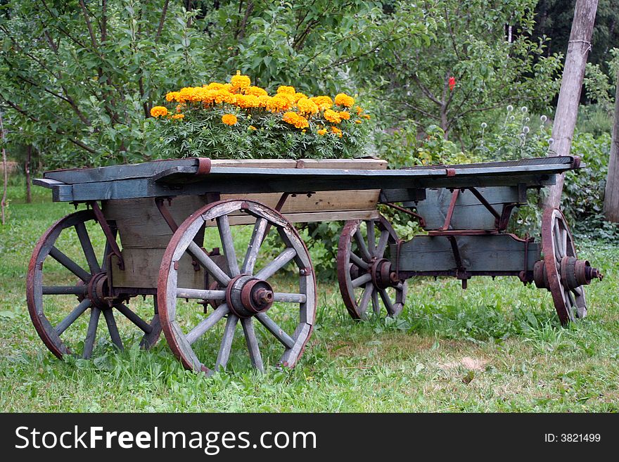 An old carriage transformed into a flowerbed