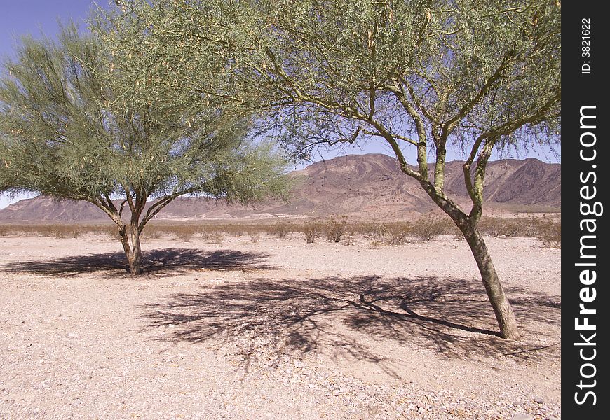 Arizona Rest Areas I-10W  Two