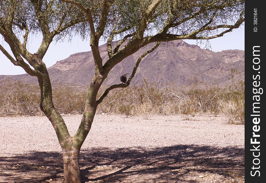 Arizona Rest Areas I-10W Four