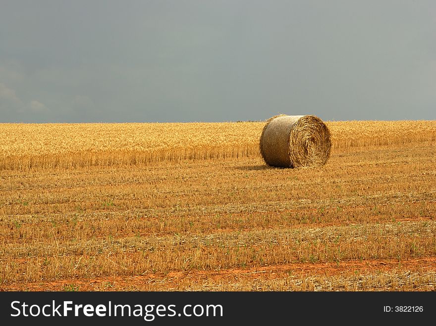 A Hay Field in country Australia, with a summer storm building in the background. A Hay Field in country Australia, with a summer storm building in the background.