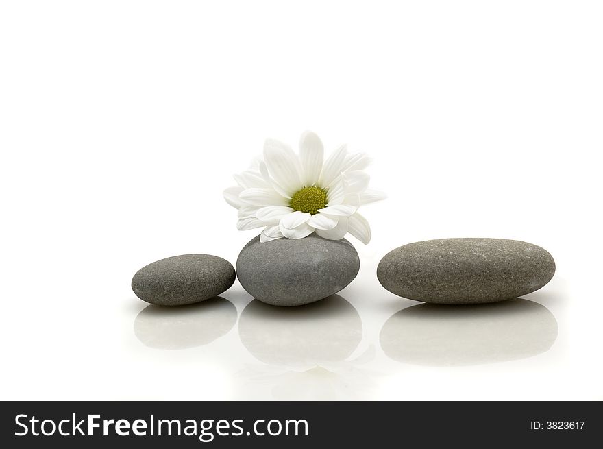 Three rocks and flower on white
