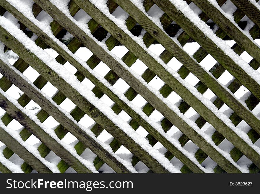 Green wood fence in snow