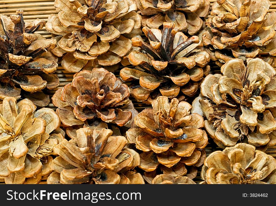 Bunch of traditional natural dried pine cones. Bunch of traditional natural dried pine cones