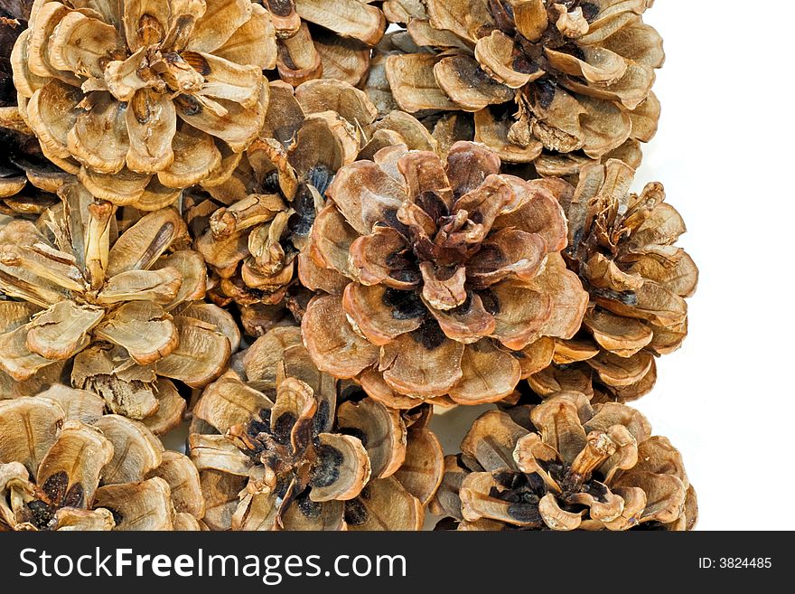 Bunch of traditional natural dried pine cones. Bunch of traditional natural dried pine cones
