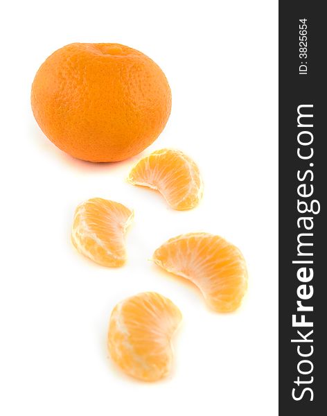 Fresh citrus fruit isolated on white. Fresh citrus fruit isolated on white