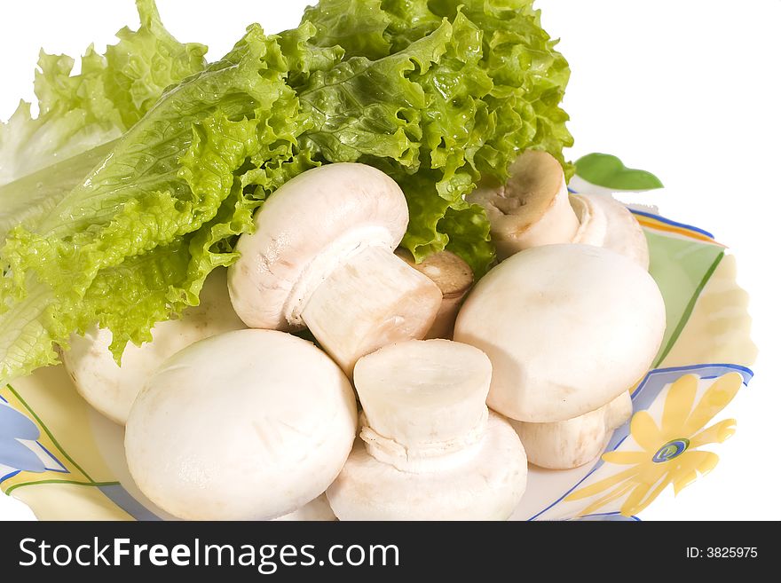 Fresh lettuce and mushrooms isolated. Fresh lettuce and mushrooms isolated