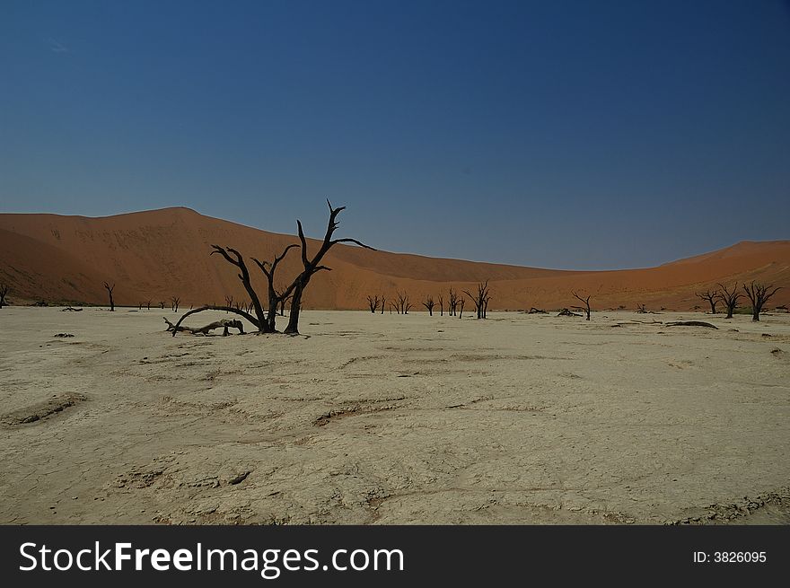 Deadvlei (Namib Desert)