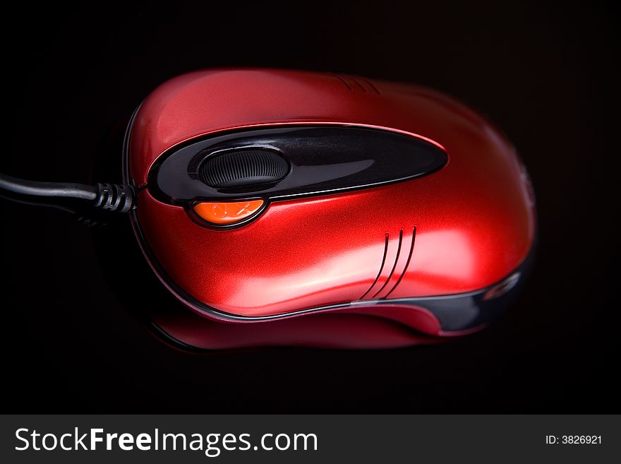 Computer Mouse On Reflective Background