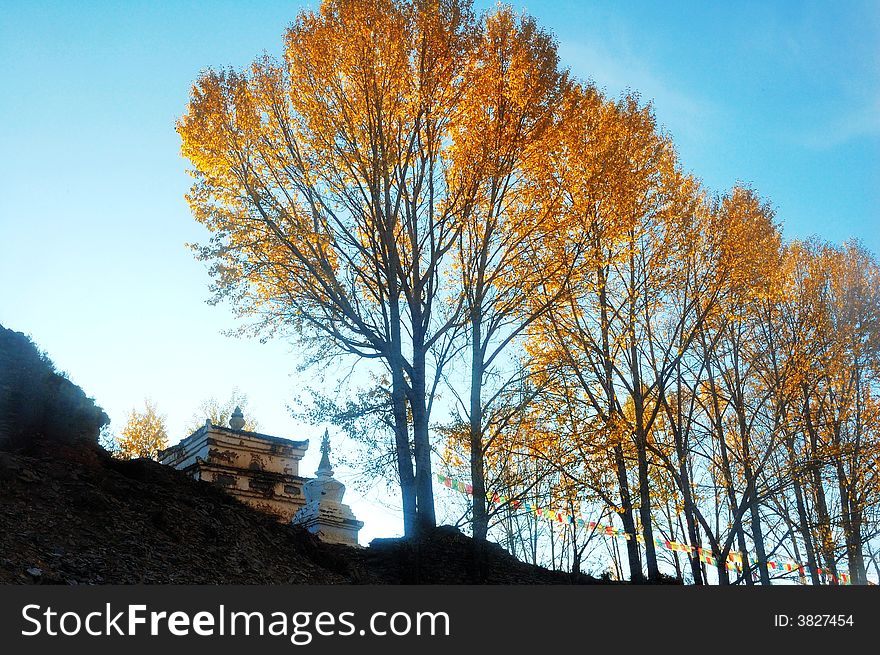 White Tower and Yellow Tree. White tower is a traditional character of Tibet. It stands for religion, hope.