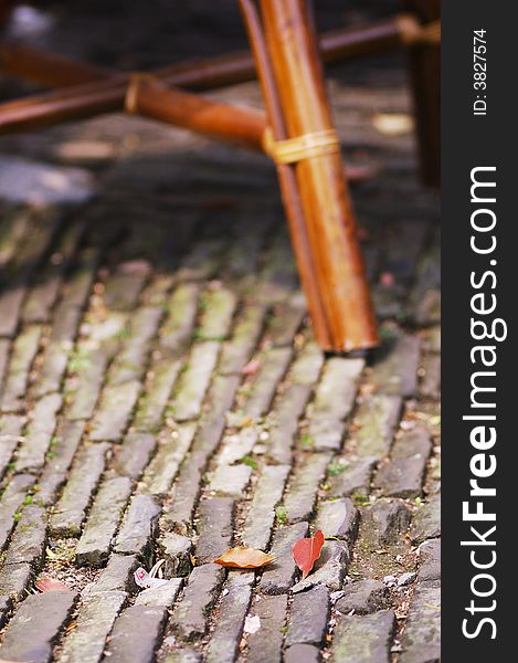 Fallen Leaves Around A Chair