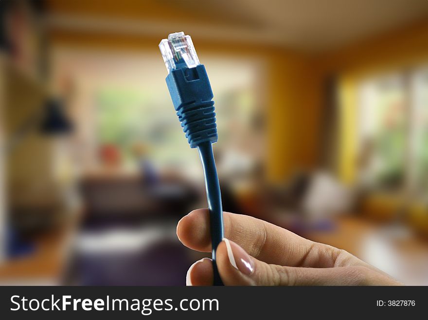 Female hand holding a blue LAN wire. Female hand holding a blue LAN wire