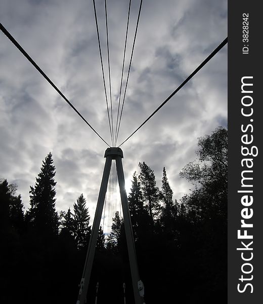 An abstract bridge leading into the forest