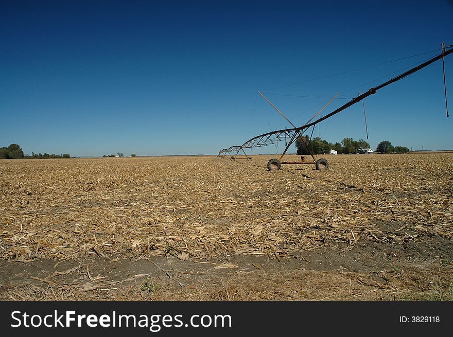 Irrigation equipment over an early harvest corn crop with a dark blue sky background.