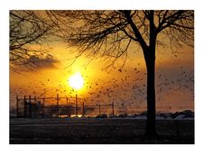 Sunset At Erie Lake Royalty Free Stock Image Sunset At Erie Lake Royalty Free Stock Image