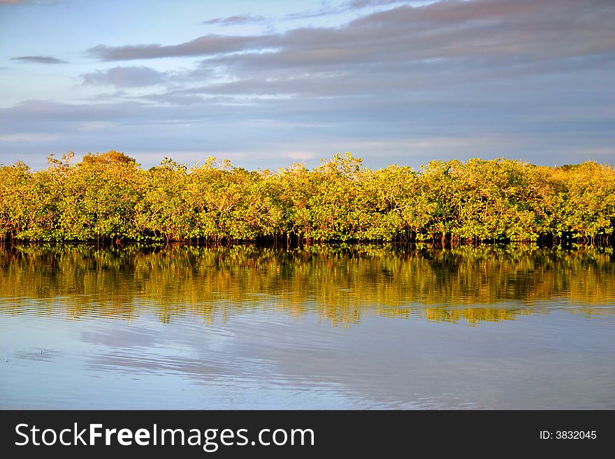 Stock image of Noosaville, Sunshine Coast, Australia