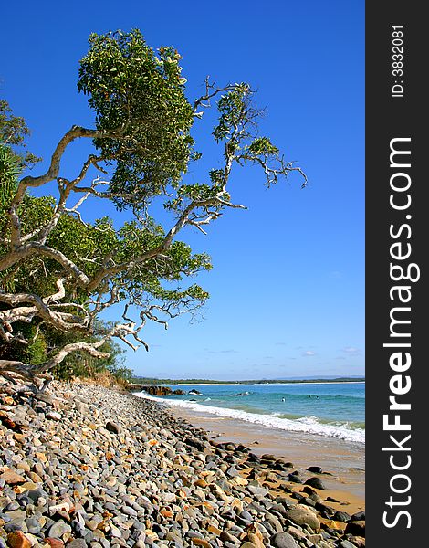 Beaches as Noosa, Sunshine Coast, Australia