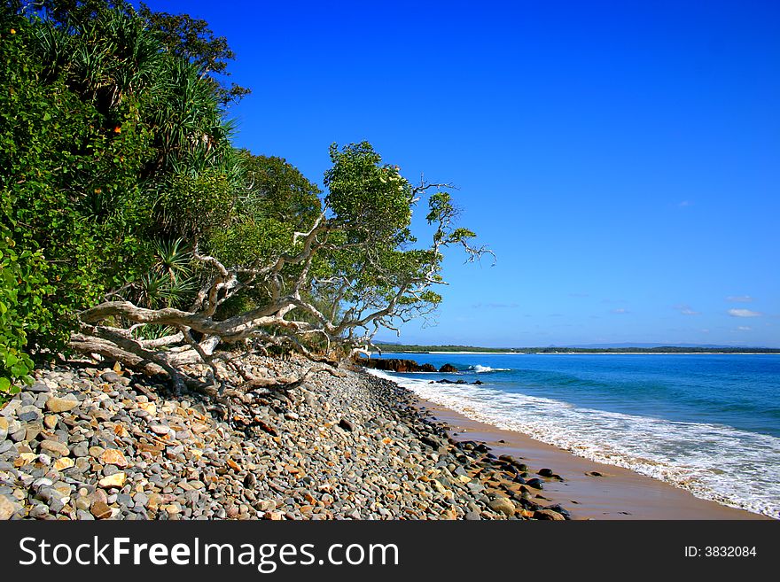 Beaches as Noosa, Sunshine Coast, Australia