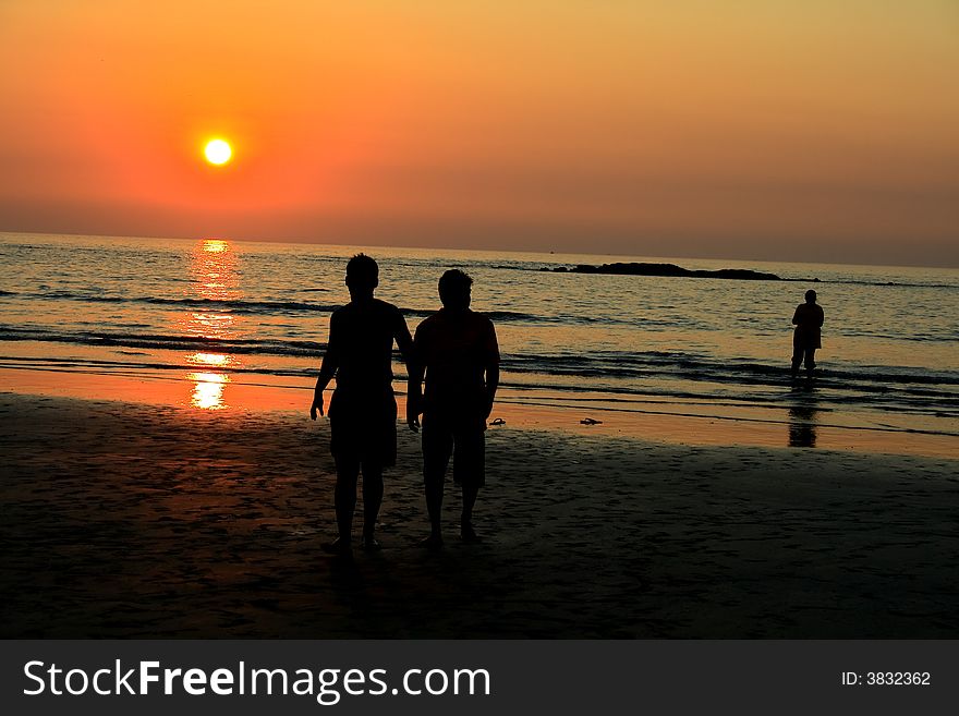 silhouettes on the backdrop of beautiful and warm sunset. silhouettes on the backdrop of beautiful and warm sunset.