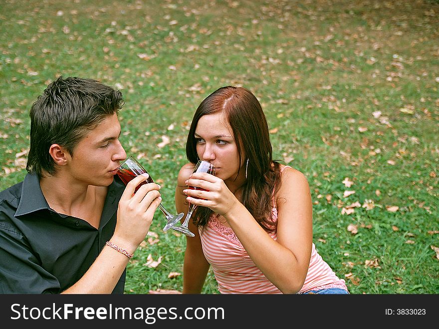 Girl and her boyfriend drinking wine in the park