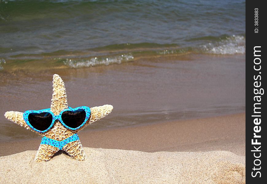 Fun starfish wearing a bikini on the seashore. Fun starfish wearing a bikini on the seashore.