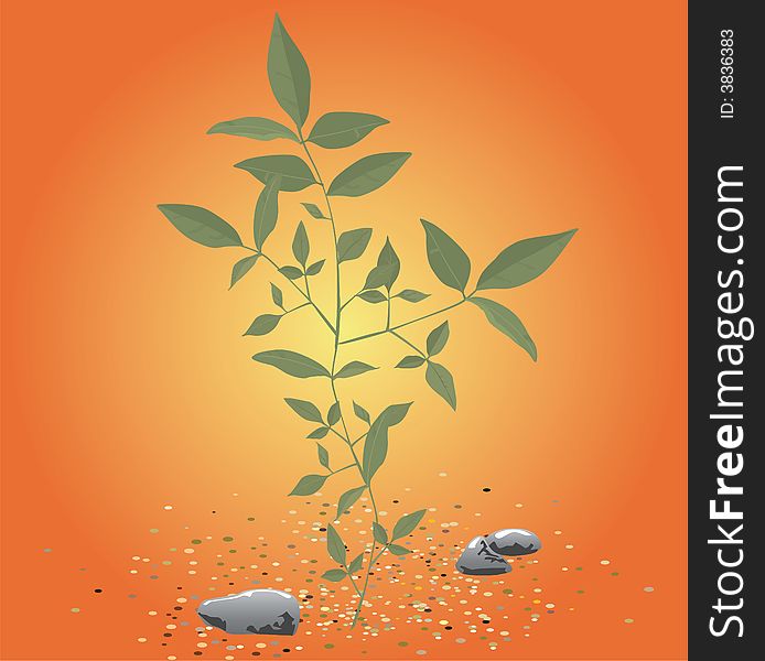 The plant with little stones (vector illustration). The plant with little stones (vector illustration)