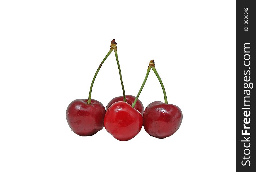 Four fresh cherries with waterdrops against white background. Four fresh cherries with waterdrops against white background