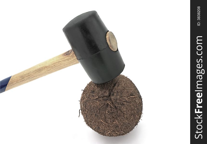 Process, preparations of food from a coconut through a hammer, object on a white background. Process, preparations of food from a coconut through a hammer, object on a white background.