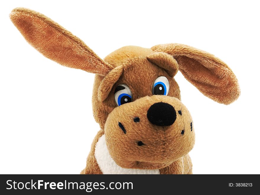 Fragment of soft toy, a doggy listens an environment attentively. Large ears and sad look. Object on a white background. Fragment of soft toy, a doggy listens an environment attentively. Large ears and sad look. Object on a white background.