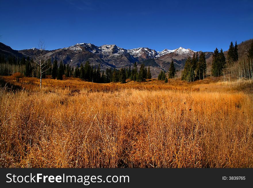 High mountain flat wit snow capped mountains and golden grass. High mountain flat wit snow capped mountains and golden grass