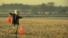 Scarecrow Stock Images Scarecrow Stock Images