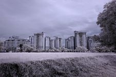 Infrared Photo – Modern Building And Tree Stock Photos Infrared Photo – Modern Building And Tree Stock Photos