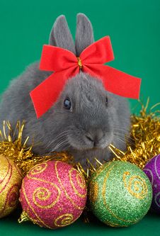 Grey Bunny And Christmas Decorations Stock Photo Grey Bunny And Christmas Decorations Stock Photo