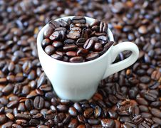 Fresh Coffee Stock Photo Fresh Coffee Stock Photo