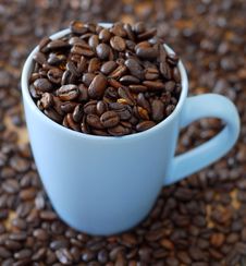 Fresh Coffee Stock Photo Fresh Coffee Stock Photo