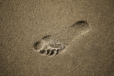 Foot Print Stock Images Foot Print Stock Images