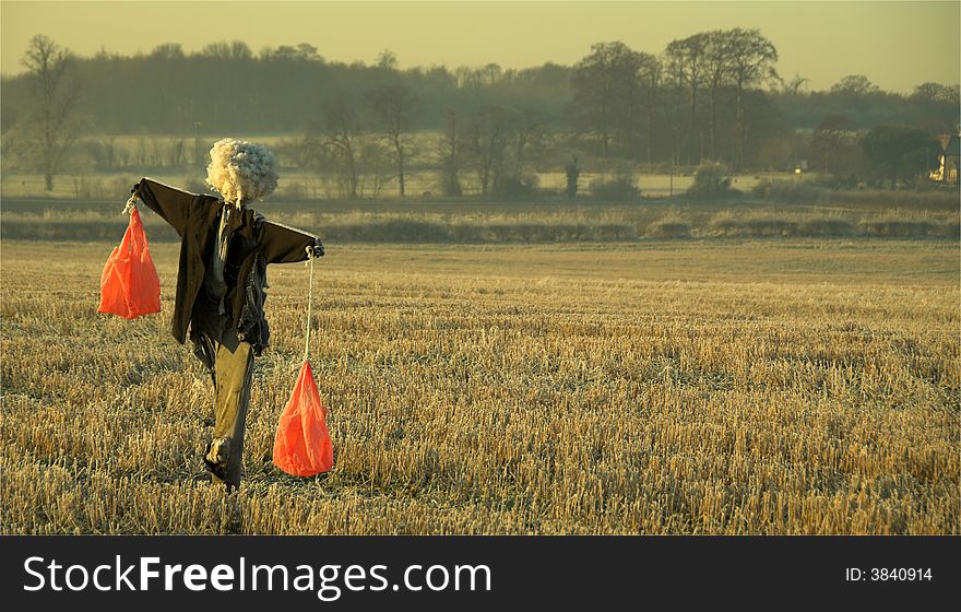 Scarecrow in early morning sunlight