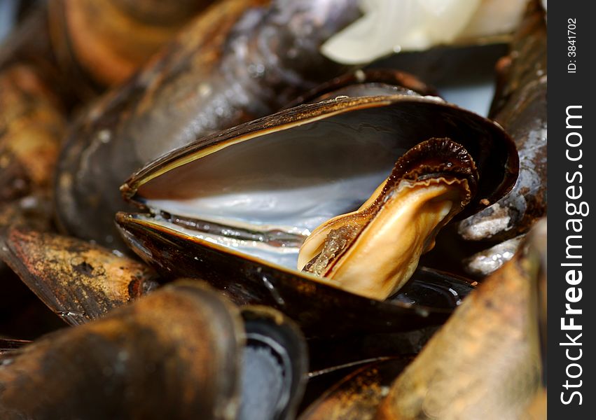 Close up image of a bowl of Mussels