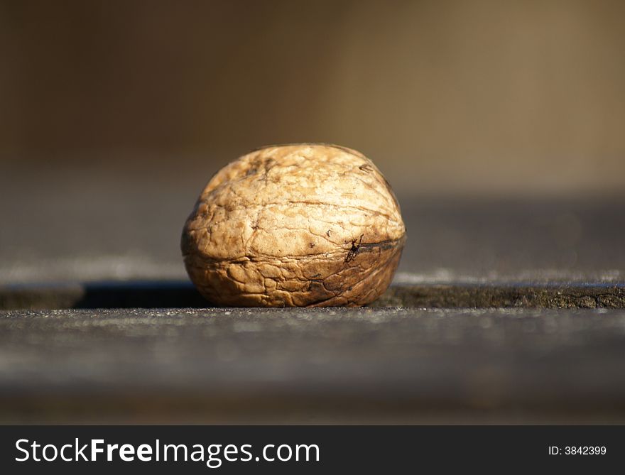 A lonely walnut left on a table in winter light.