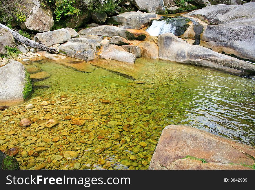 Forest River In The New Zealand