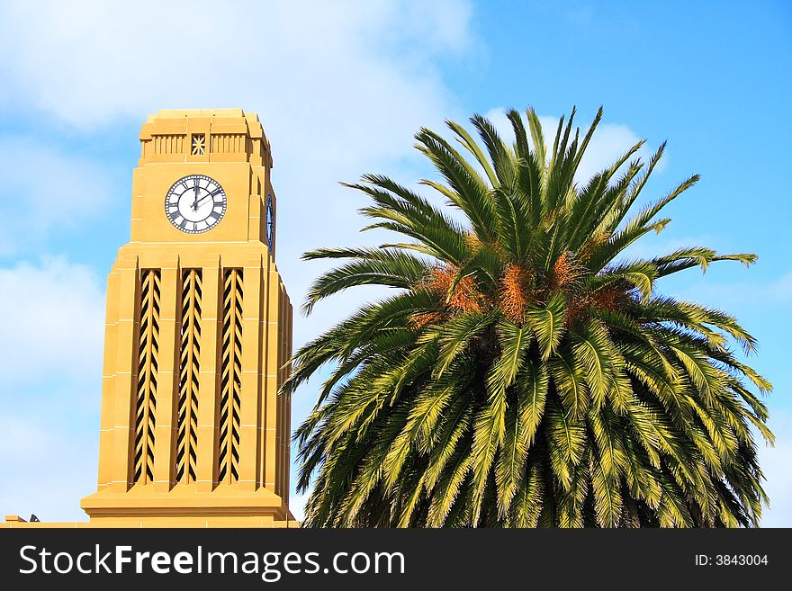 Clock Tower And Tree In New Zealand