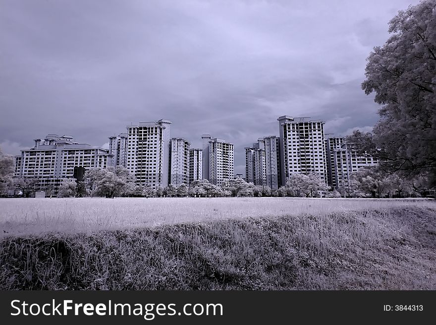 Infrared photo â€“ modern building and tree in the parks