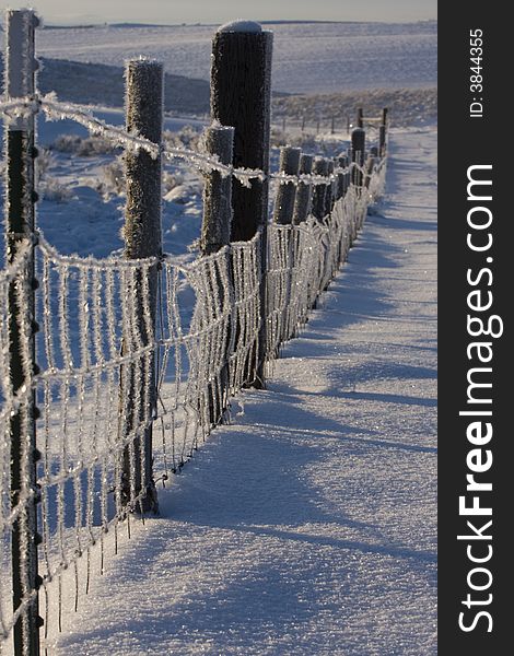 Frozen Fence