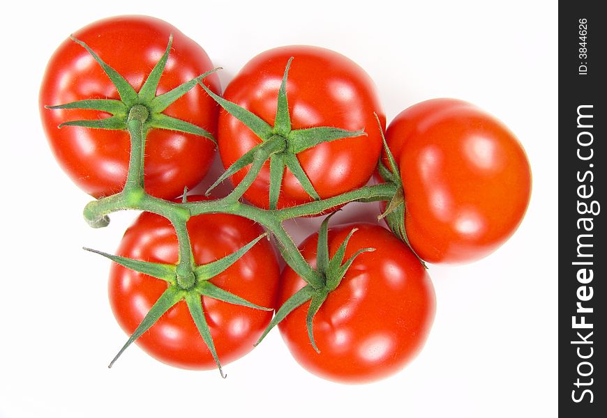 Isolated Fresh Tomatoes