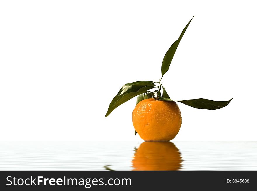 Leafy orange on white background