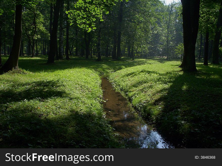 A glade with small river in wood. A glade with small river in wood.