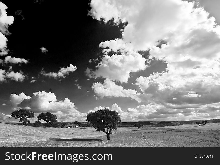 View in B&W of a open field in Sardinia, Italy. View in B&W of a open field in Sardinia, Italy.