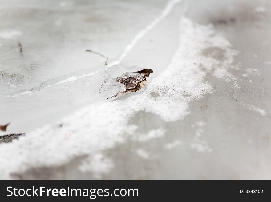 Freezed leafs in water in, outdoor photo