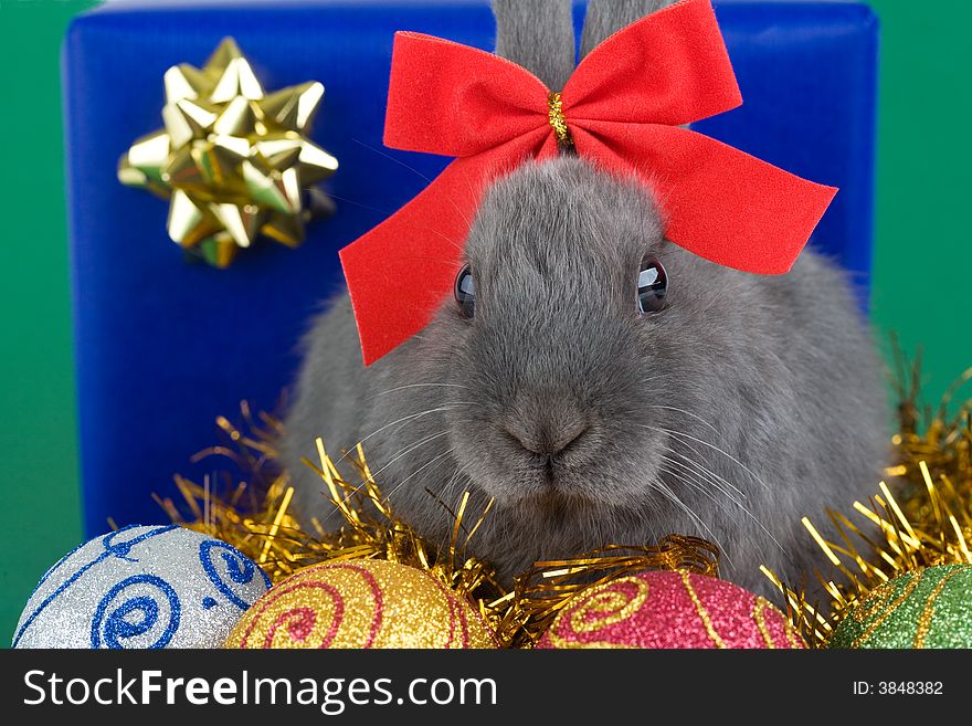 Grey bunny and christmas decoration and a big blue gift box. Grey bunny and christmas decoration and a big blue gift box